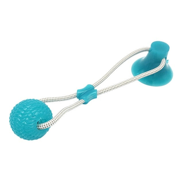 Suction Cup Toy