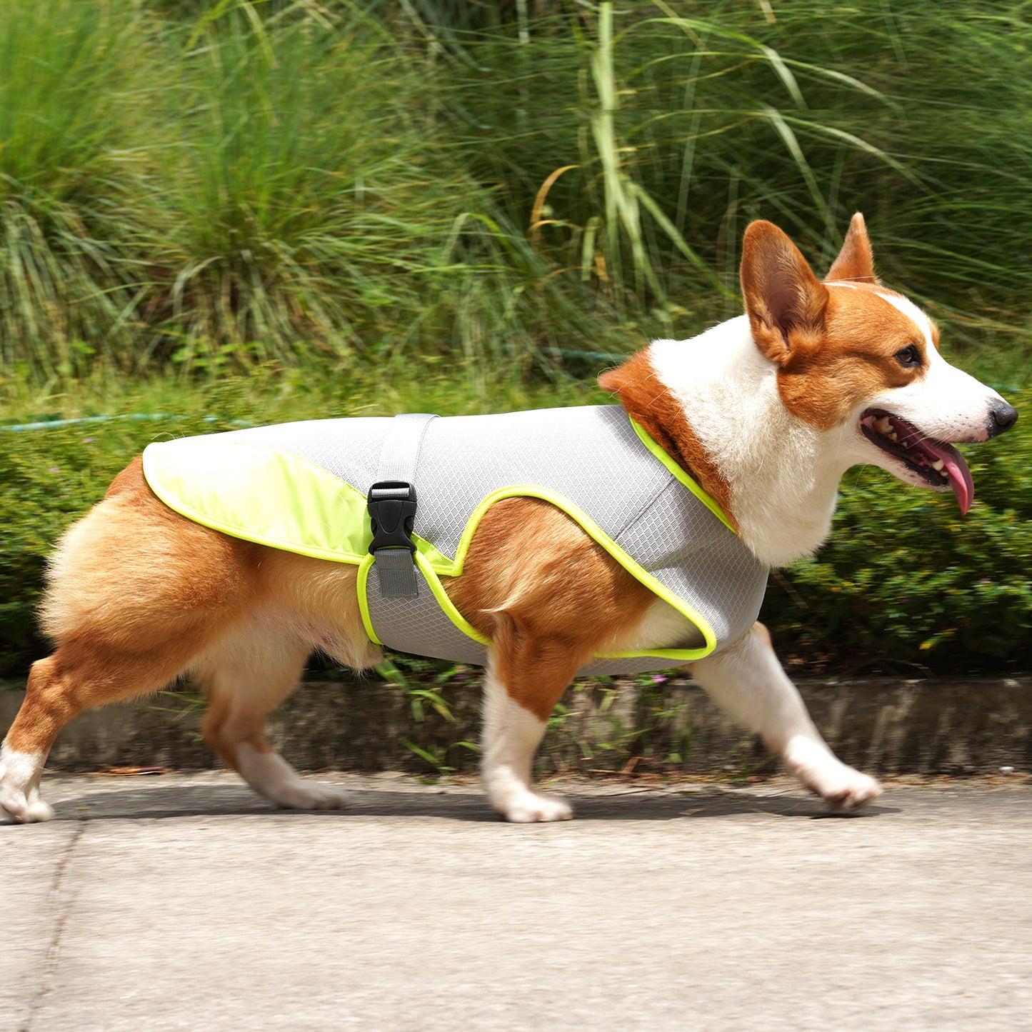 Pet Cooling Clothing