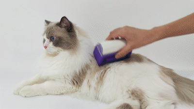 Pet Automatic Hair Removal Comb